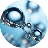 Amla Extract